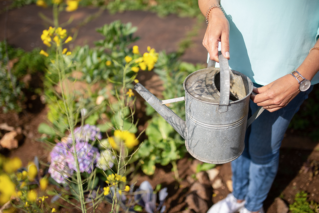 irrigation-system-essex